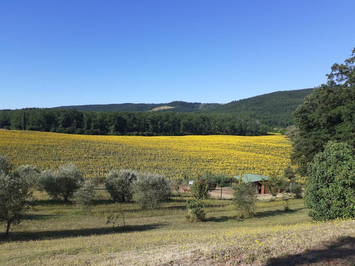 Agriturismo Natura E Salute Villa San Gimignano Exterior foto