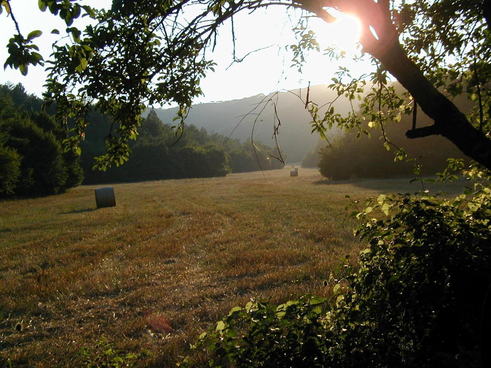 Agriturismo Natura E Salute San Gimignano Exterior foto