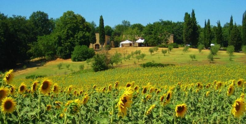 Agriturismo Natura E Salute Villa San Gimignano Exterior foto