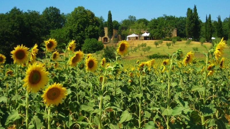 Agriturismo Natura E Salute Villa San Gimignano Exterior foto