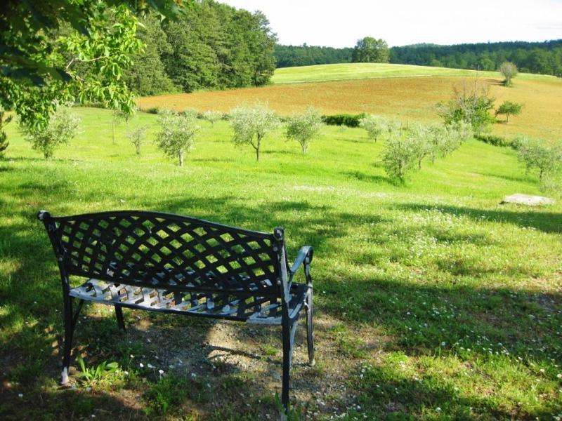 Agriturismo Natura E Salute Villa San Gimignano Exterior foto