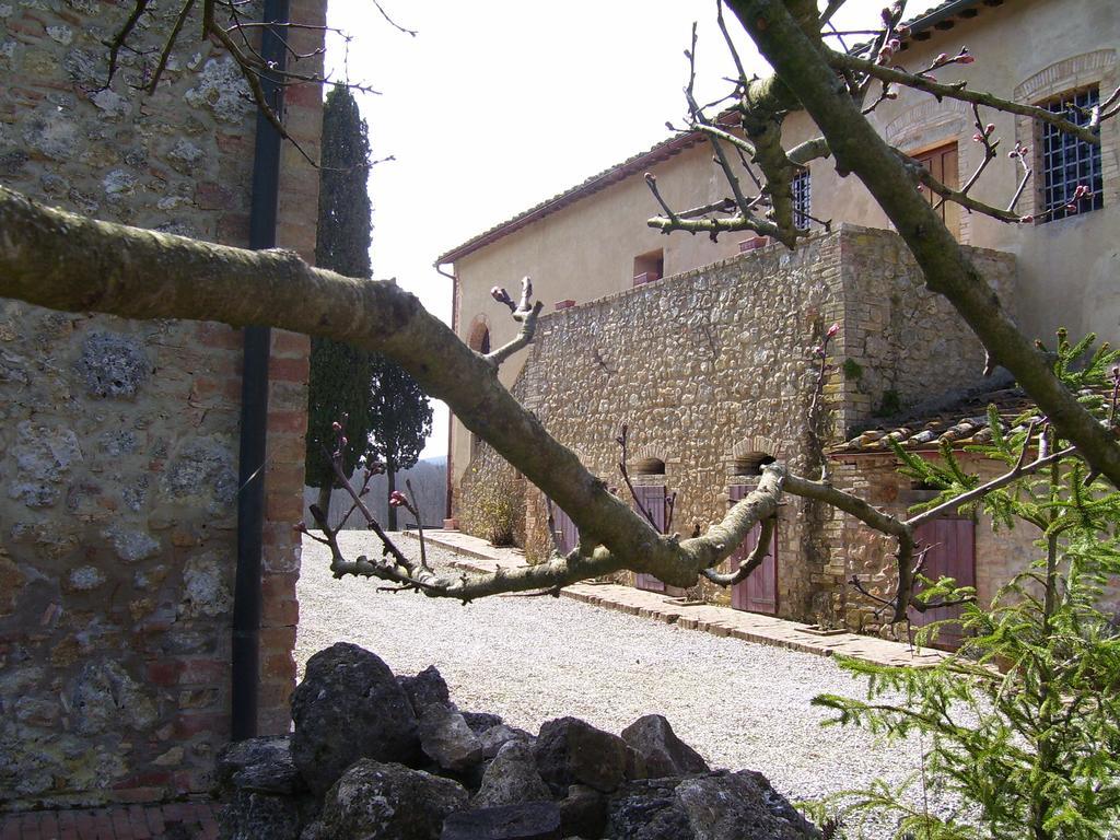 Agriturismo Natura E Salute Villa San Gimignano Exterior foto