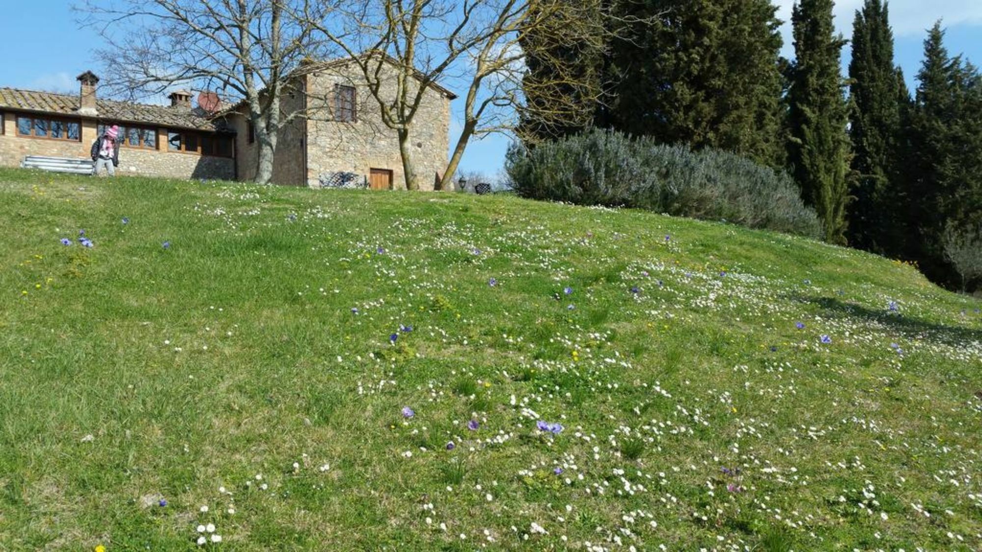 Agriturismo Natura E Salute Villa San Gimignano Exterior foto